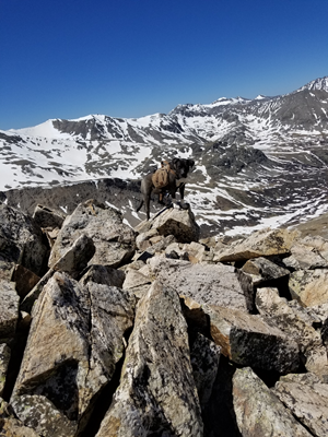 Mount Democrat